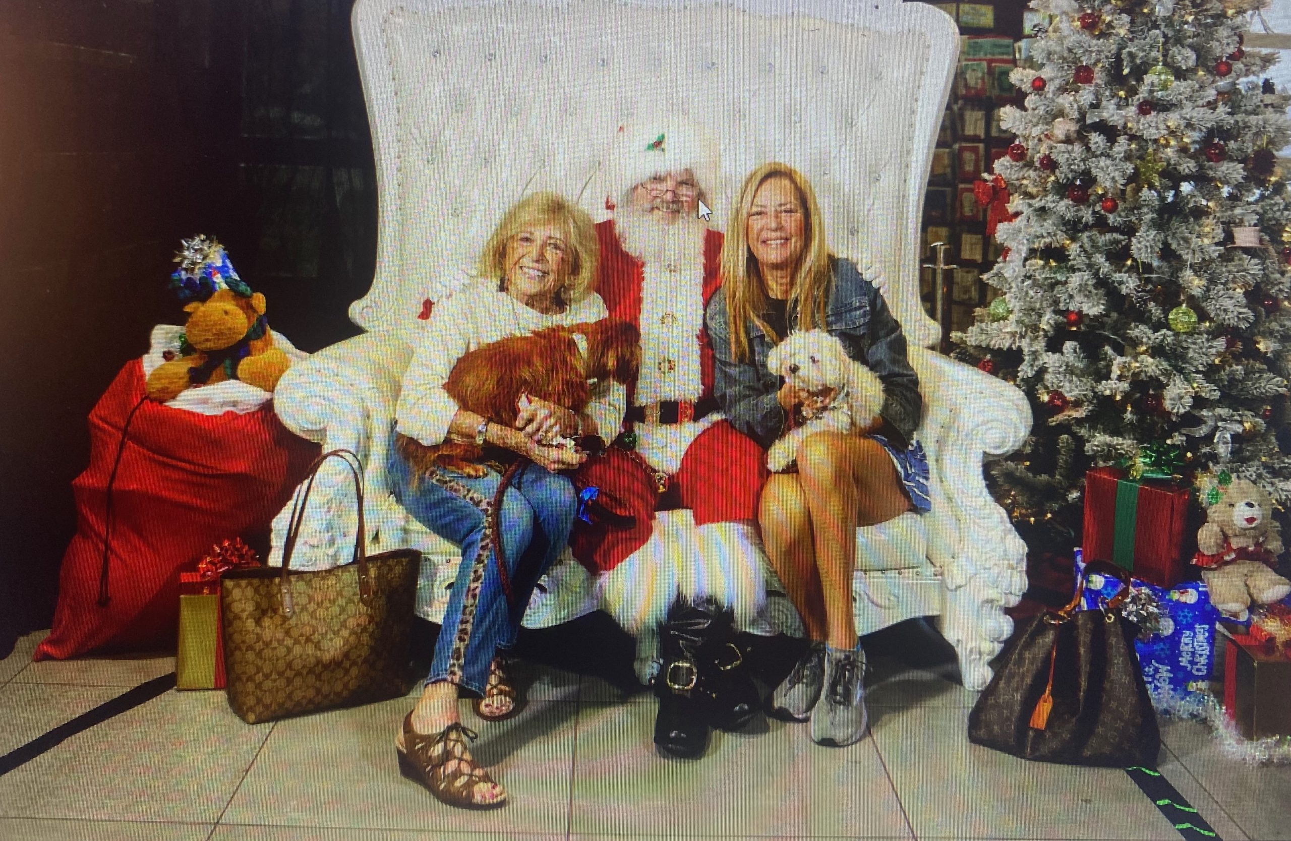 Andrea and her mom with Santa and the dogs.